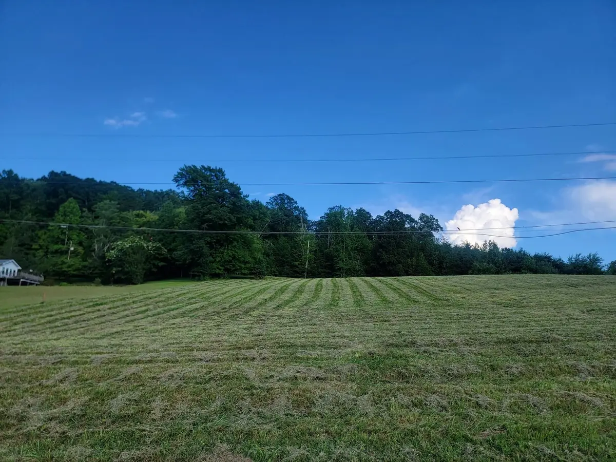 Lot 32 Hinch Street, Spring City, TN 37381 - Image #1