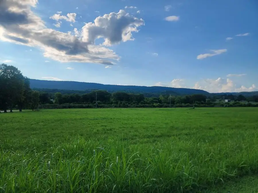 Lot 32 Hinch Street, Spring City, TN 37381 - Image #3