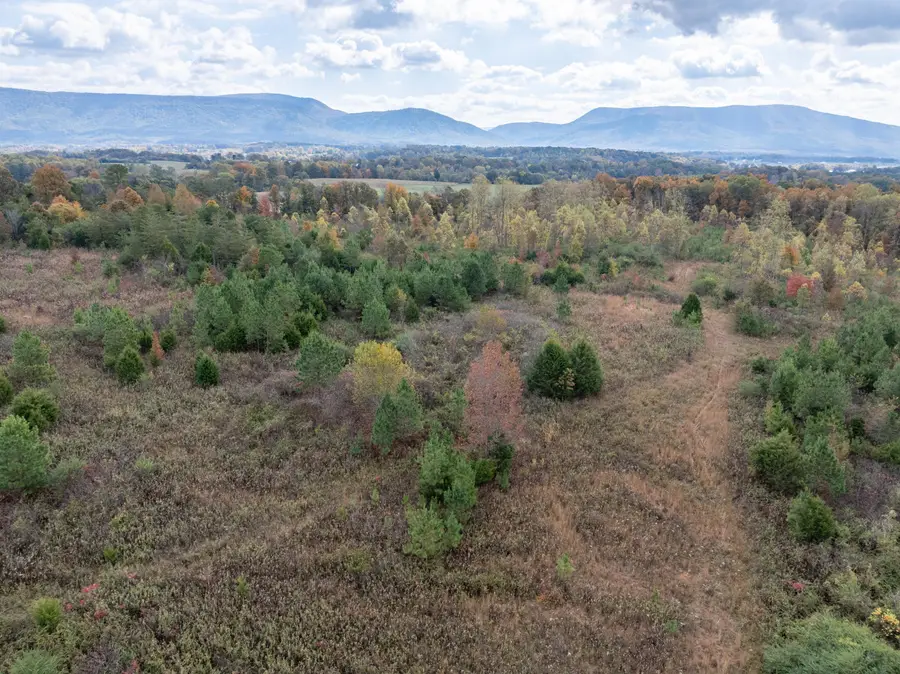 00 County Road 788, Etowah, TN 37331 - Image #2