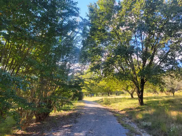 181 Sunshine Lane, Spring City, TN 37381