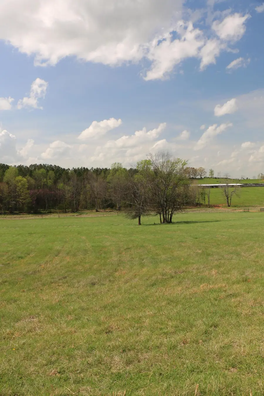 1095 County Road 461, Englewood, TN 37329 - Image #3