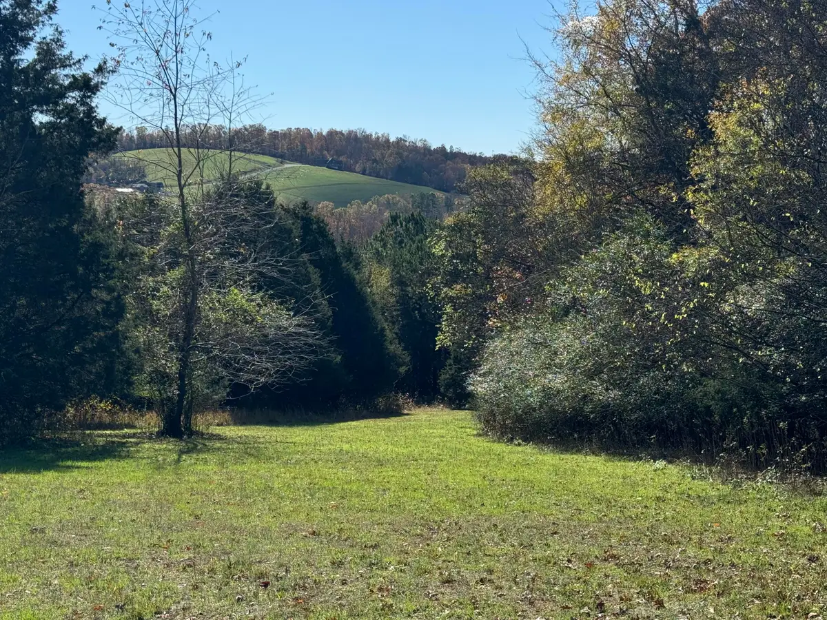 Lot 29 Goodfield Terrace, Decatur, TN 37322 - Image #1