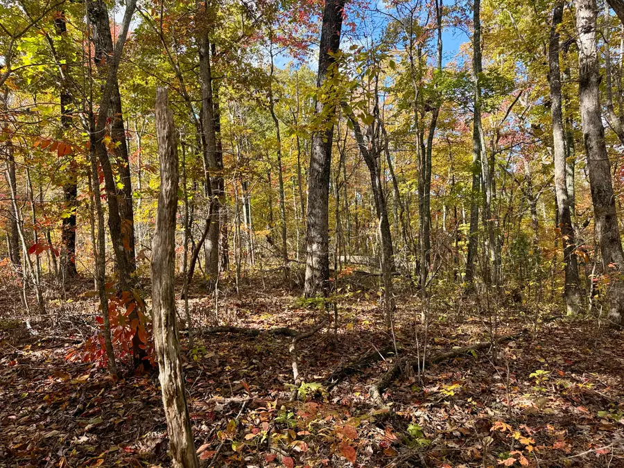 Lot 77/78 Red Oak Lane, Spring City, TN 37381 - Image #2