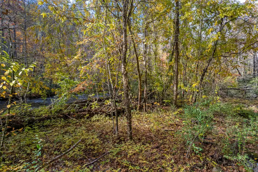 00 River Road, Tellico Plains, TN 37385 - Image #3