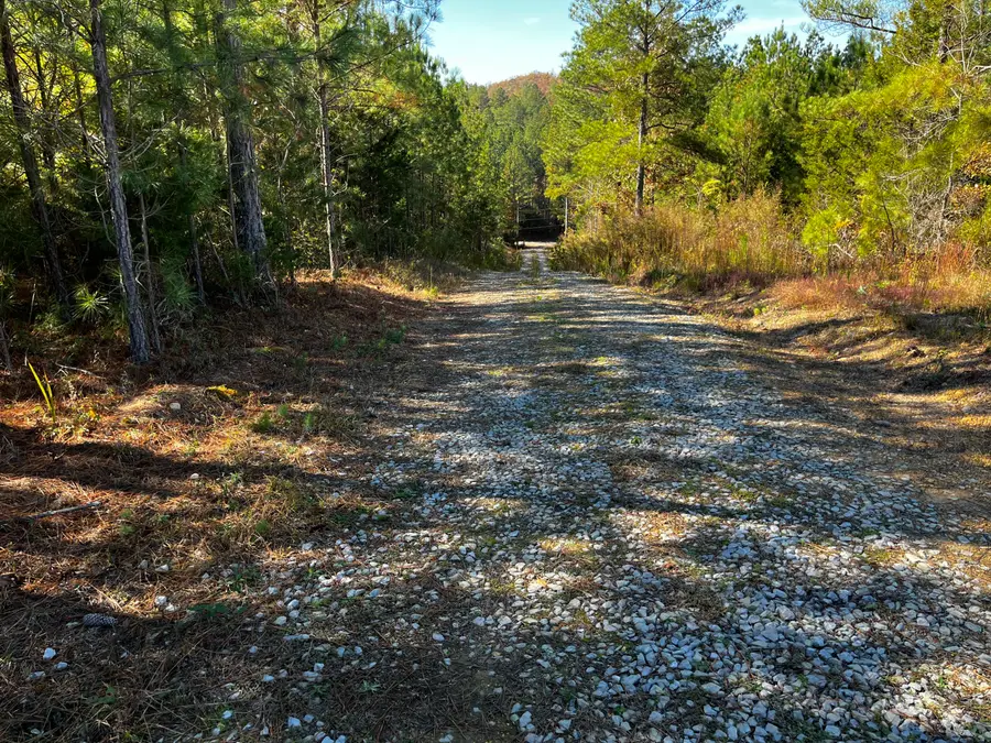 1693 Liggett Road, Decatur, TN 37322 - Image #2