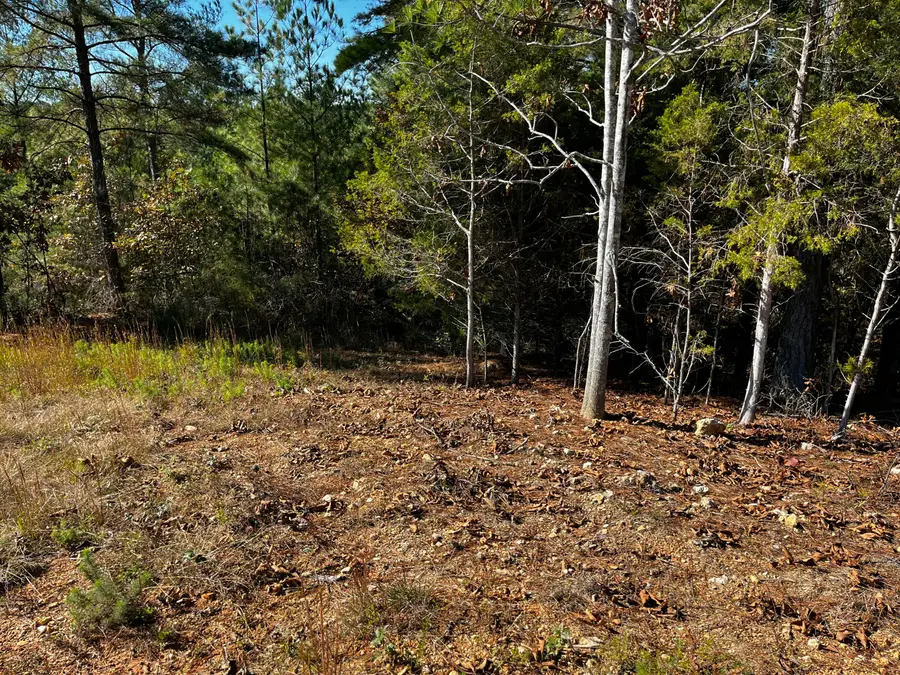 1693 Liggett Road, Decatur, TN 37322 - Image #3