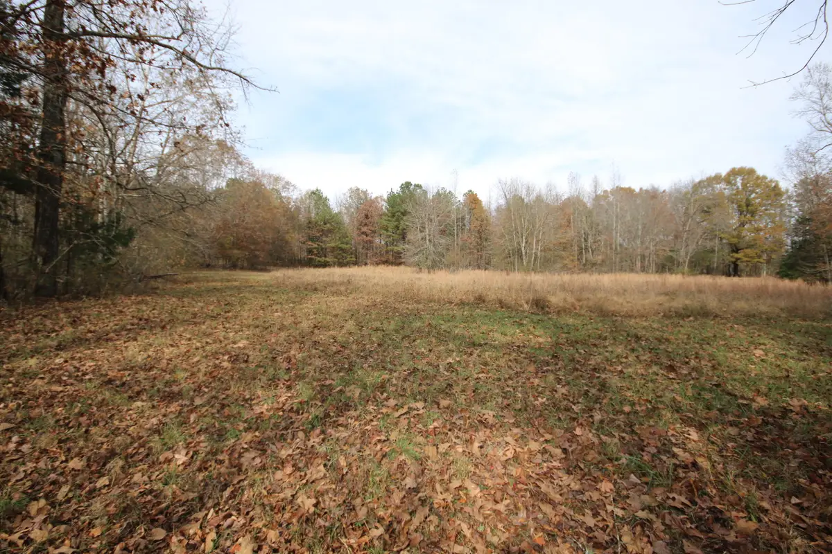 10 Acres N Nopone Valley Rd., Decatur, TN 37322 - Image #1