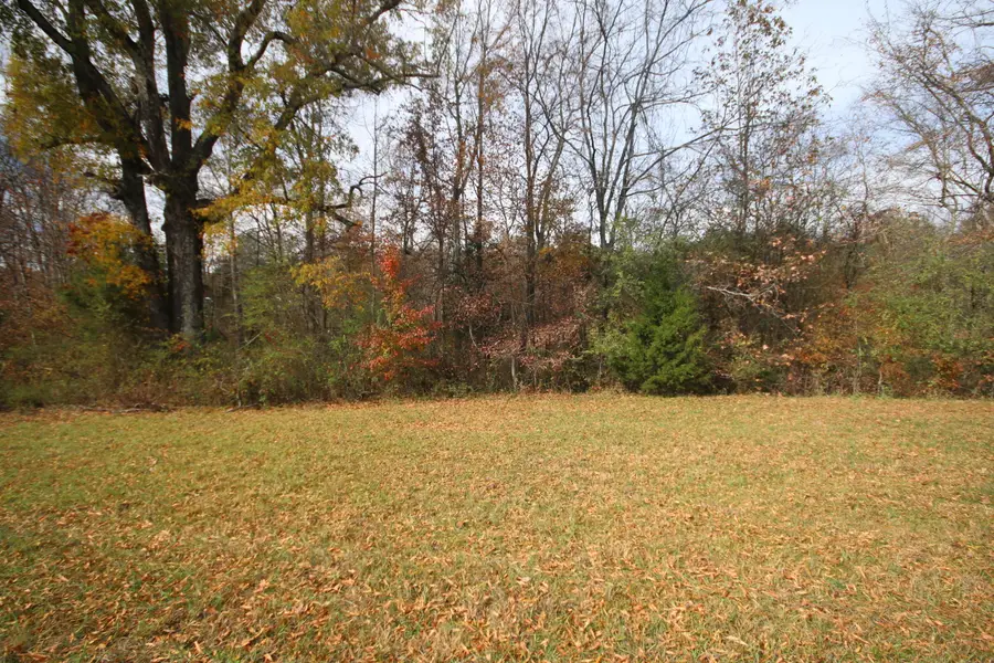 10 Acres N Nopone Valley Rd., Decatur, TN 37322 - Image #2