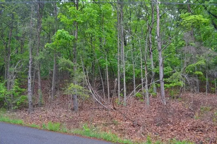 8805 Terrace Falls Drive, Mowbray Mountain, TN 37379 - Image #2