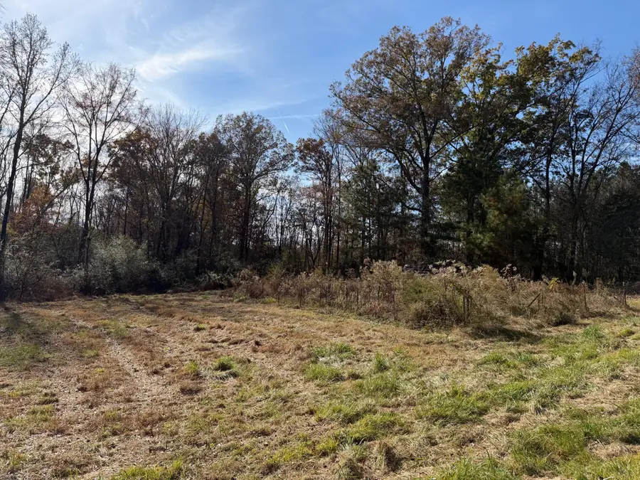 Tract 1 Strawhill (12.4 Acres) Road Se, Cleveland, TN 37323 - Image #2