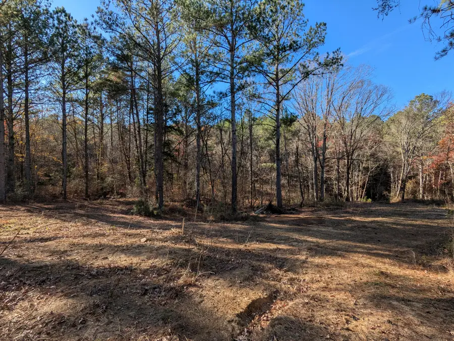 169 Volunteer Lane, Old Fort, TN 37362 - Image #3