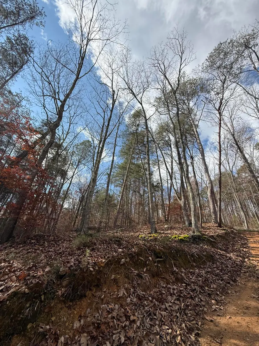 Lot 1 Parksville Road, Benton, TN 37307 - Image #2
