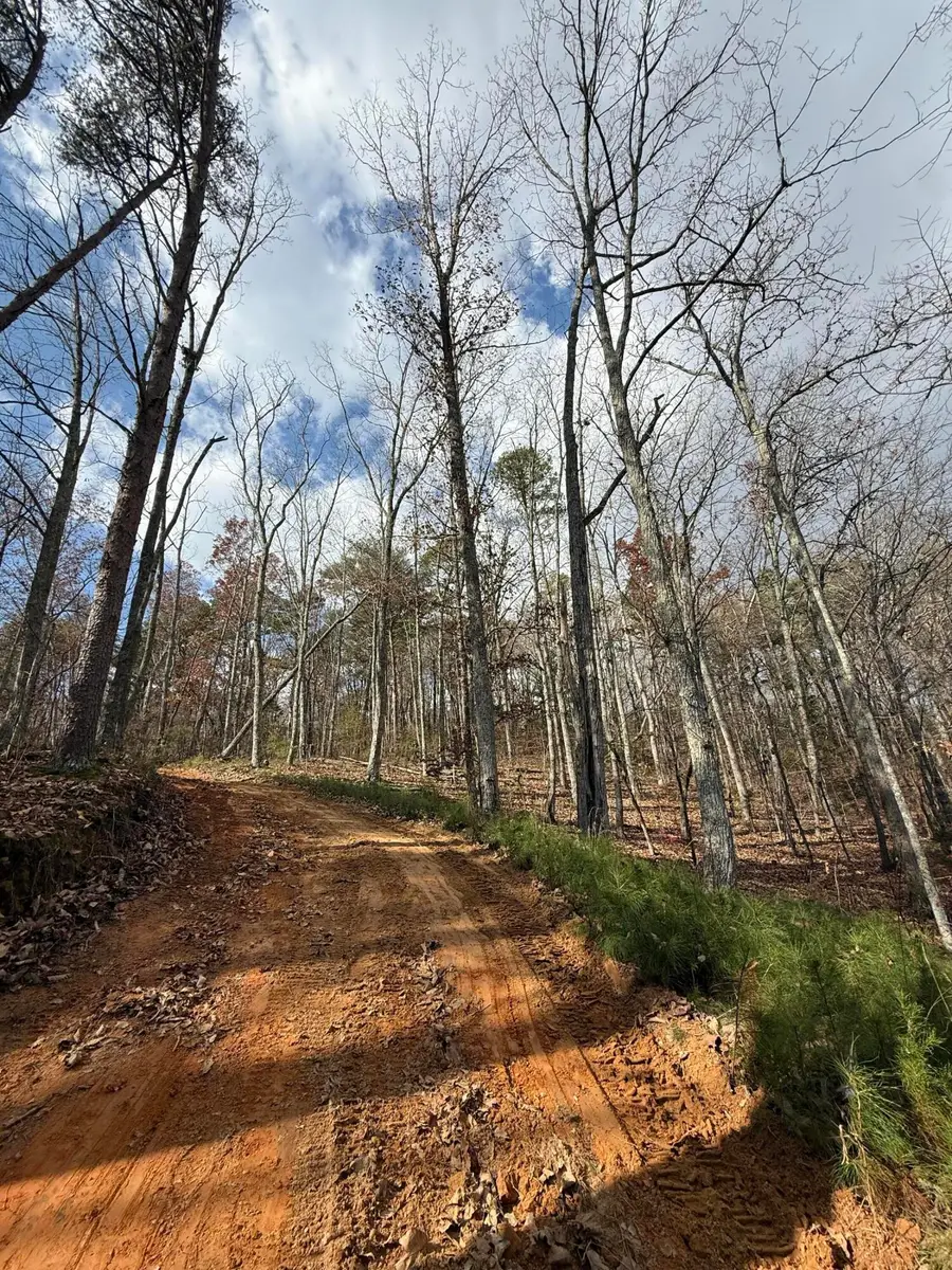 Lot 1 Parksville Road, Benton, TN 37307 - Image #3