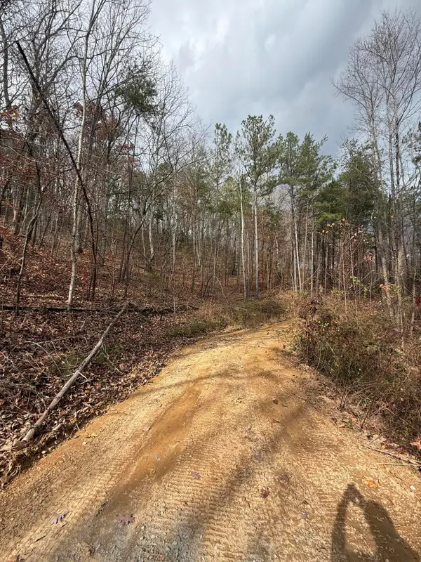 Lot 2 Parksville Road, Benton, TN 37307