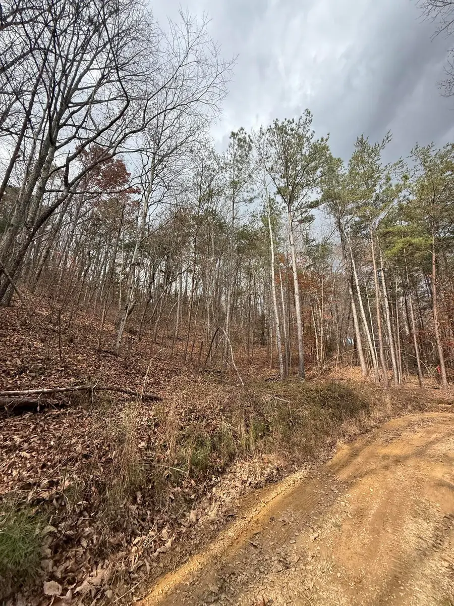 Lot 2 Parksville Road, Benton, TN 37307 - Image #2