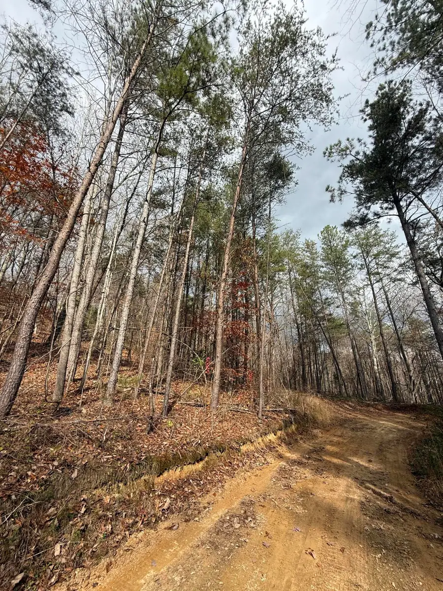 Lot 2 Parksville Road, Benton, TN 37307 - Image #3