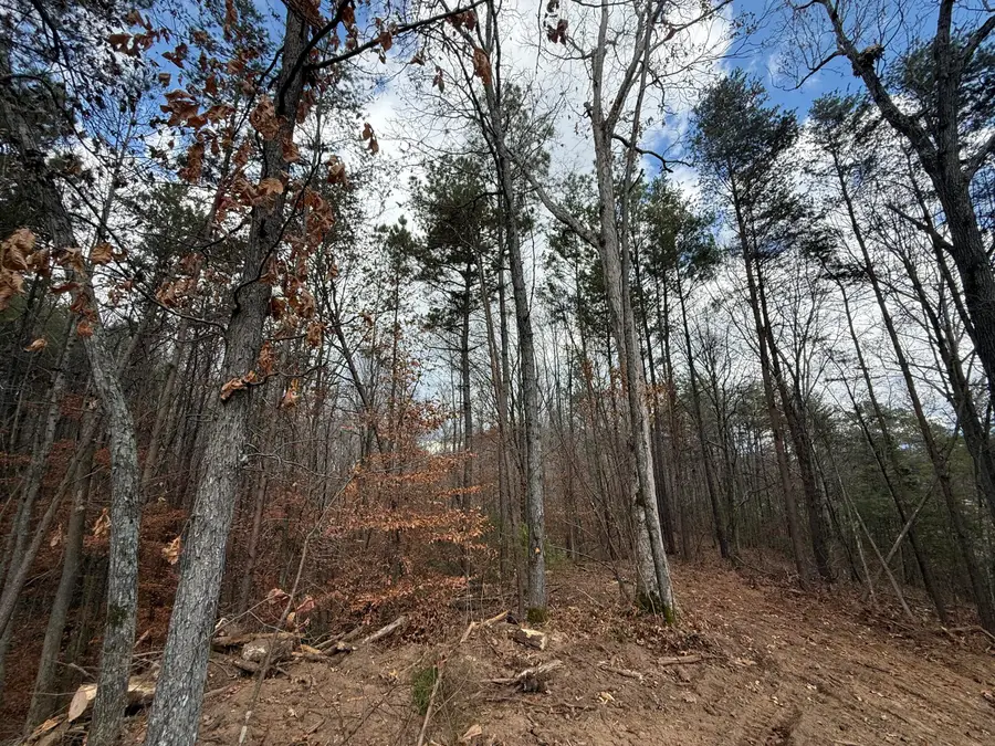 Lot 3 Parksville Road, Benton, TN 37307 - Image #2