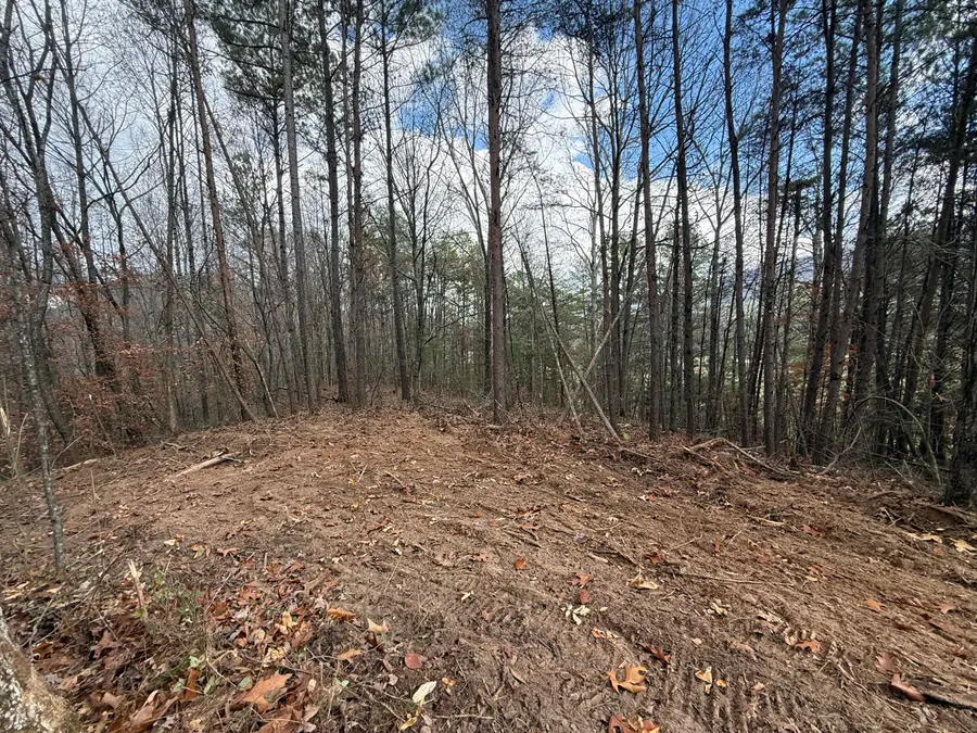 Lot 3 Parksville Road, Benton, TN 37307 - Image #3