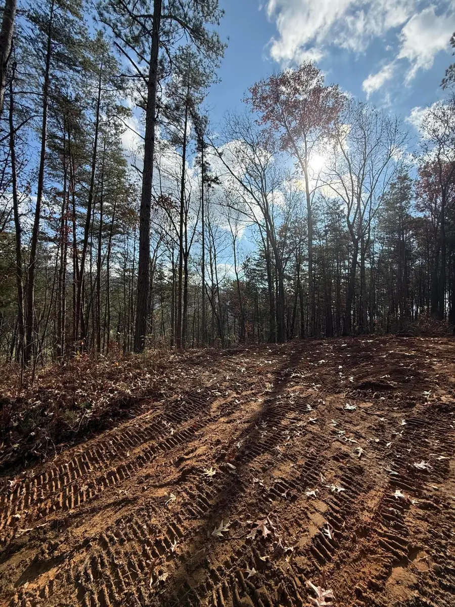 Lot 4 Parksville Road, Benton, TN 37307 - Image #2