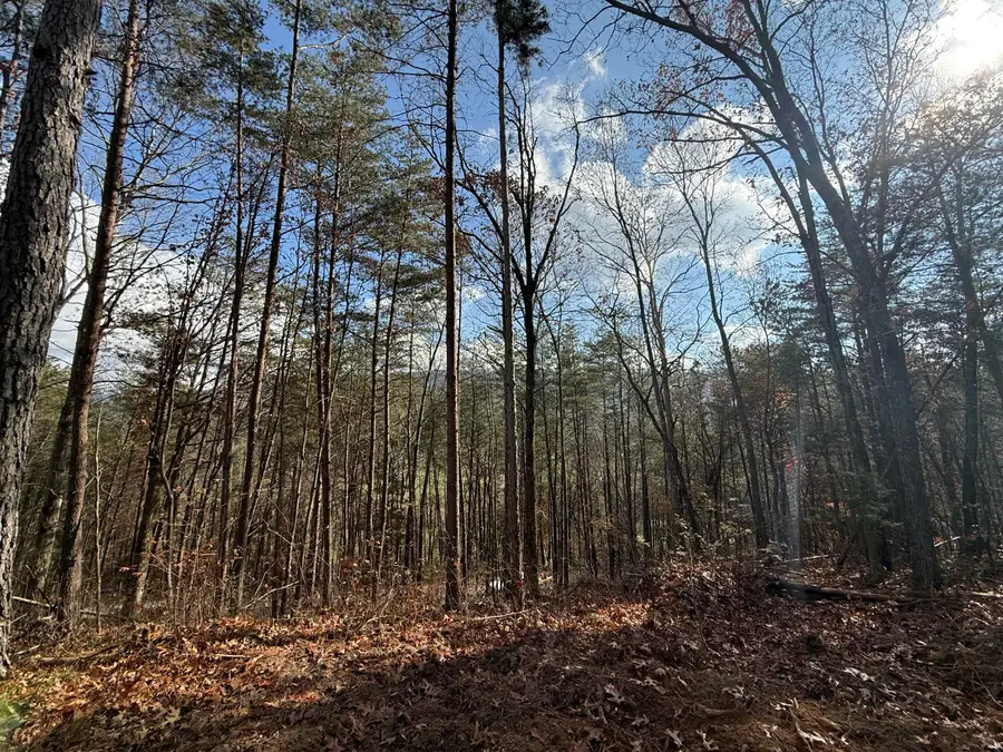 Lot 4 Parksville Road, Benton, TN 37307 - Image #3