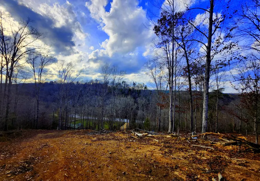 0 Harrison Pike W, McDonald, TN 37353 - #2