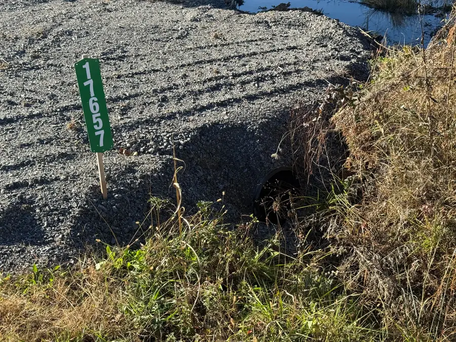 17657 N Nopone Valley Road, Decatur, TN 37322 - Image #3