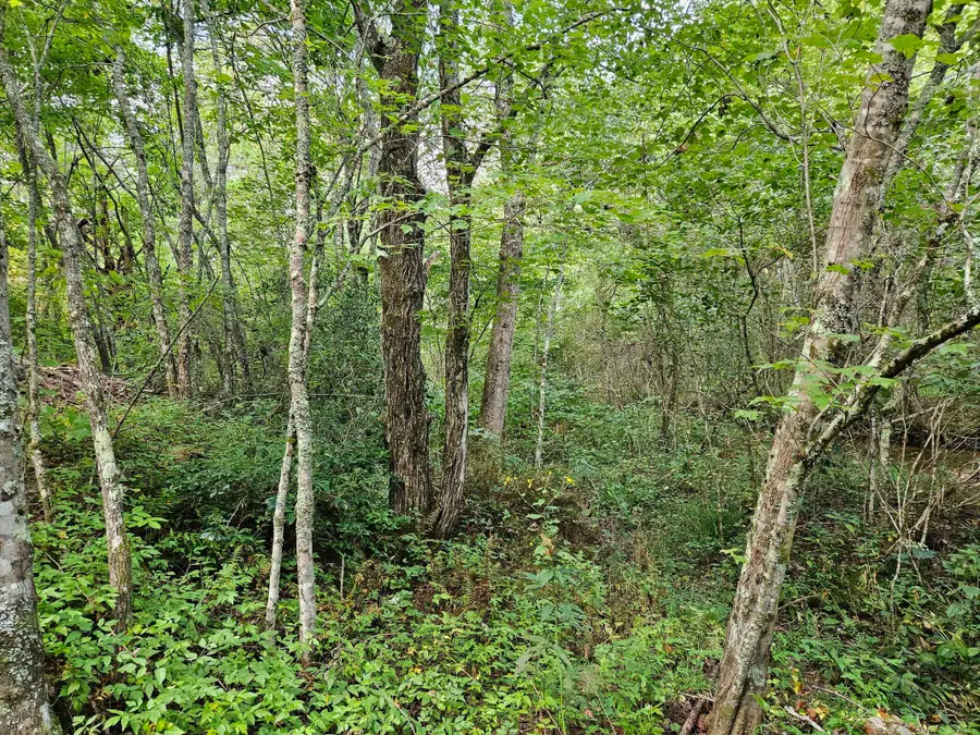 Lt 32 Belaire Drive, Copperhill, TN 37317 - Image #3