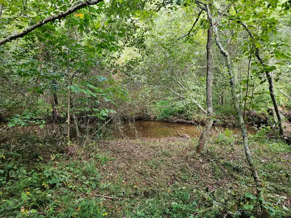 000 Golf Course Road, Copperhill, TN 37317