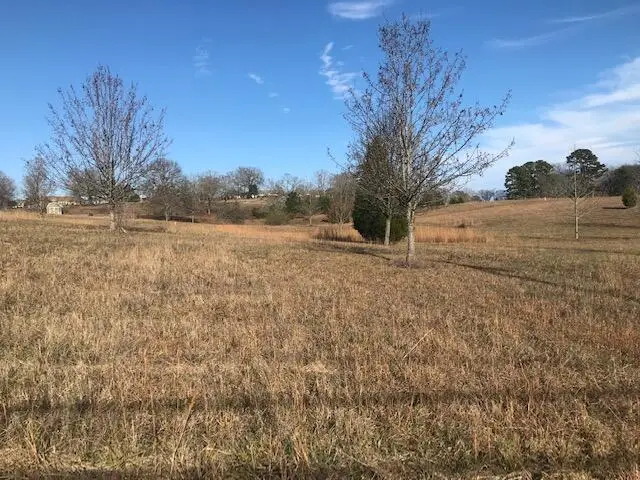 16697 N N Star Circle Circle, Sale Creek, TN 37373 - Image #3