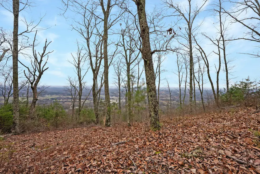 Lot 9 Escape Drive, Evensville, TN 37332 - Image #3