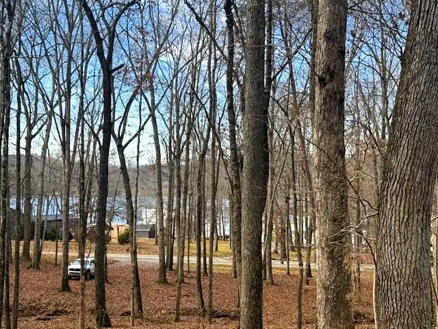 Lakeview 3 Highway 304, Ten Mile, TN 37880 - Image #2