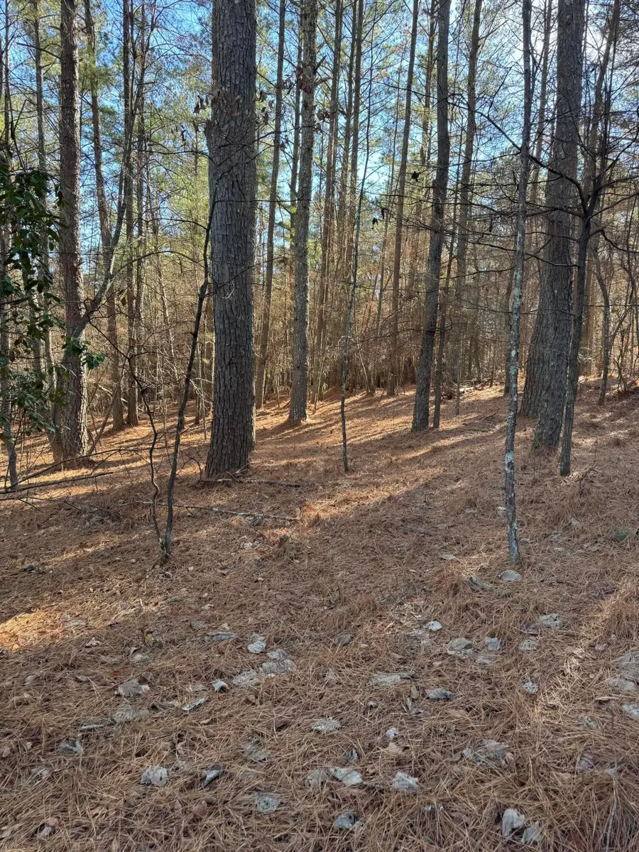 0 Airport Road, Copperhill, TN 37317 - Image #2