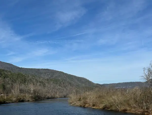 0 Hambright Road, Reliance, TN 37369