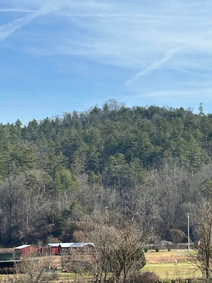 0 Hambright Road, Reliance, TN 37369 - Image #2