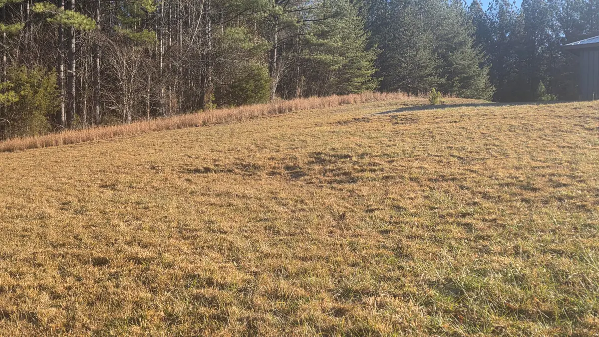 122 White Water Run Lane, Ocoee, TN 37361 - Image #1