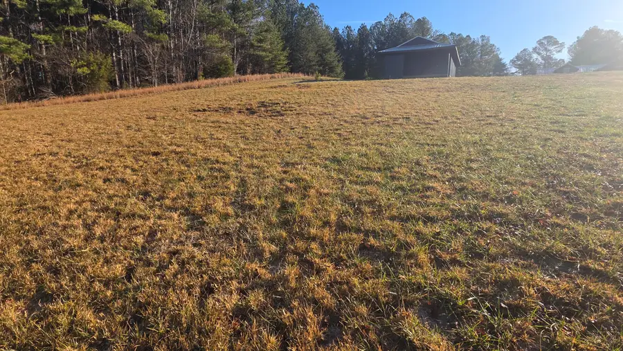 122 White Water Run Lane, Ocoee, TN 37361 - Image #3