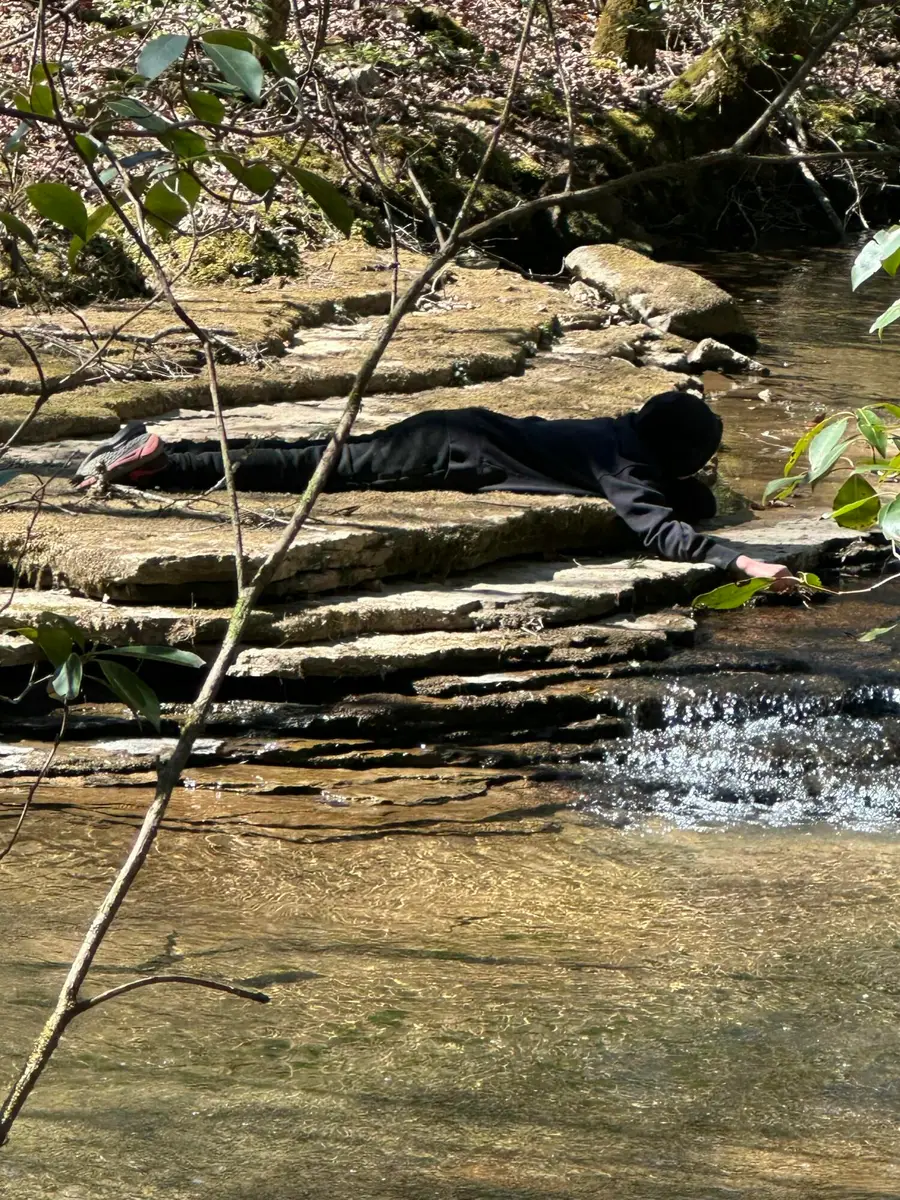 247 Copperhead Road, Oakdale, TN 37829 - #2