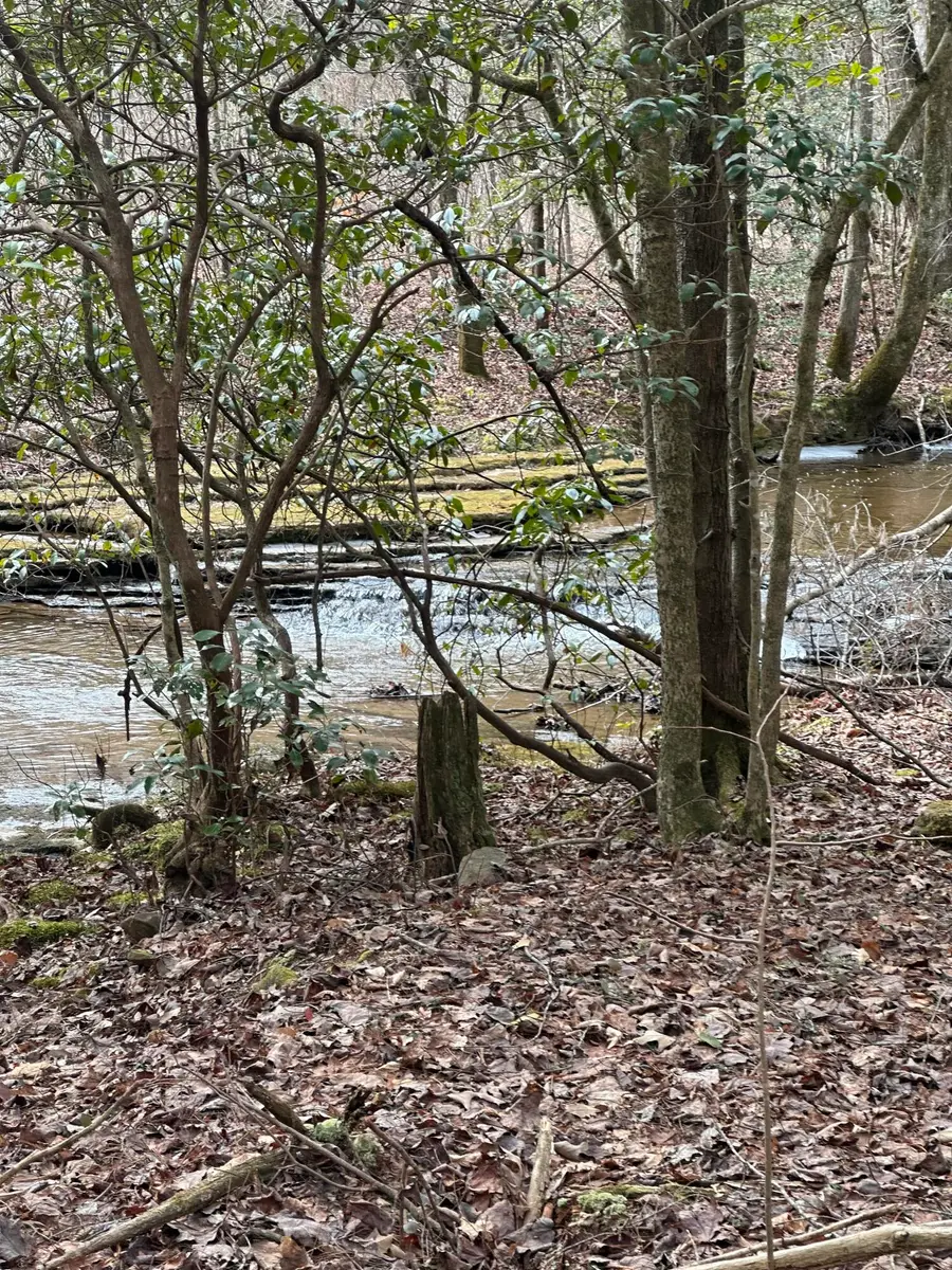 247 Copperhead Road, Oakdale, TN 37829 - #3