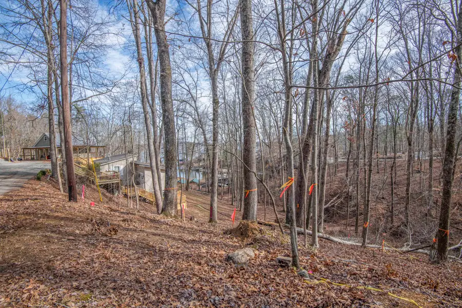 0 Sunset Court, Spring City, TN 37381 - #2