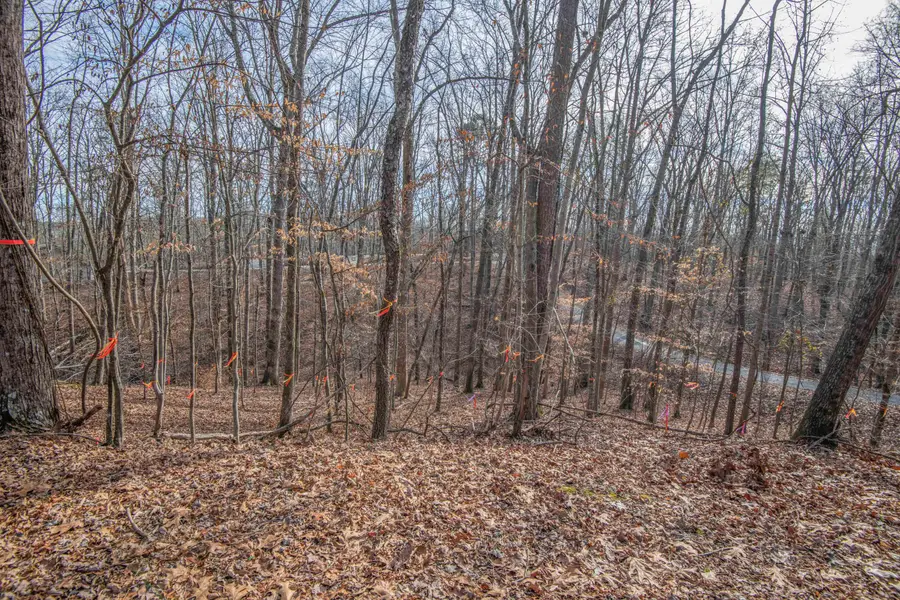 0 Sunset Court, Spring City, TN 37381 - #3