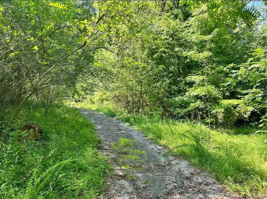 7.7 Acres Waterlevel Highway E, Cleveland, TN 37323 - Image #3