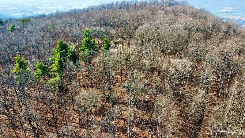 654 Briley Road, Spring City, TN 37381 - #3