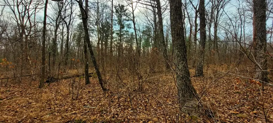 4.9 Acres Raccoon Ridge, Spring City, TN 37381 - #3