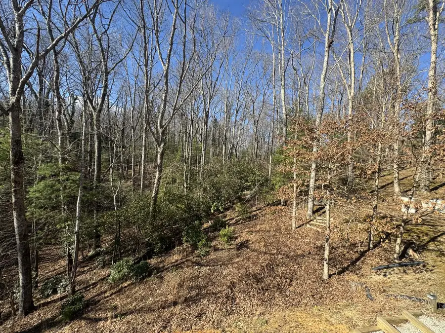 500 Old Furnace Road, Tellico Plains, TN 37385 - Image #3