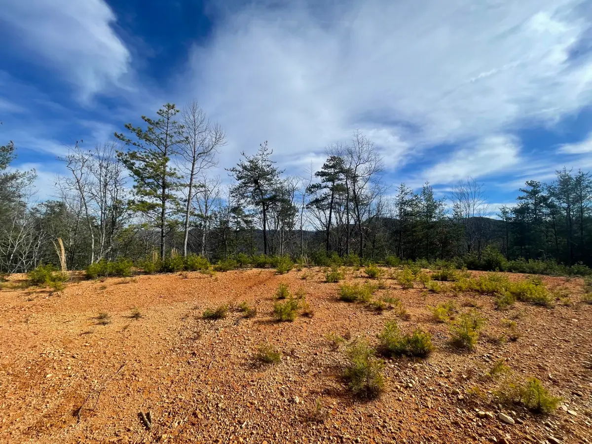 Lot 36 Bullet Mountain Drive, Tellico Plains, TN 37385 - #1