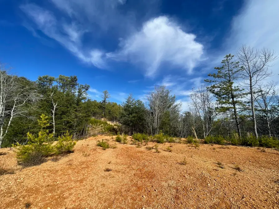 Lot 36 Bullet Mountain Drive, Tellico Plains, TN 37385 - #2