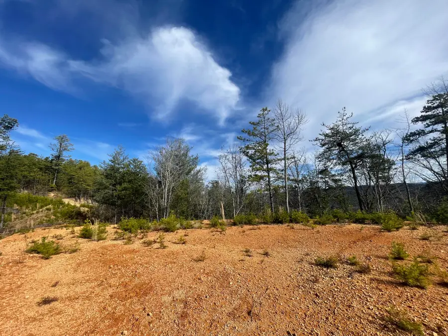 Lot 36 Bullet Mountain Drive, Tellico Plains, TN 37385 - #3