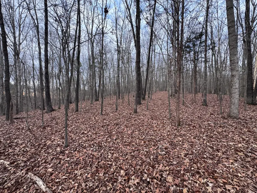 7473 Tmb Trail, Birchwood, TN 37308 - Image #3