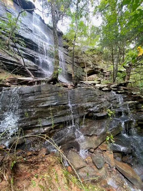 104 Sunrise Trail, Pikeville, TN 37367 - #3