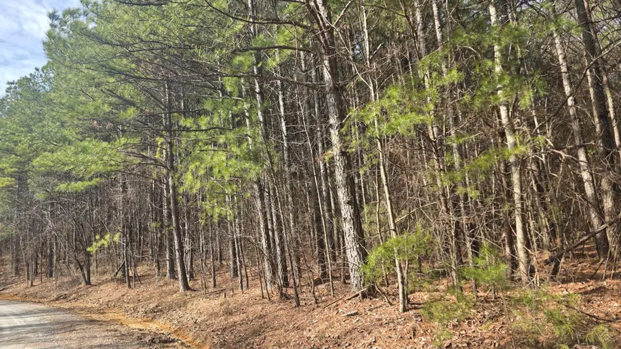 180 Rock Creek Drive, Old Fort, TN 37362 - #2